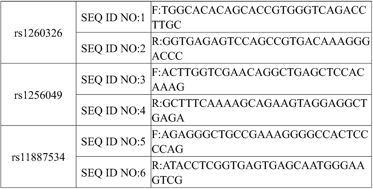 Combination primer for human gall stone related gene mutation screening and application thereof