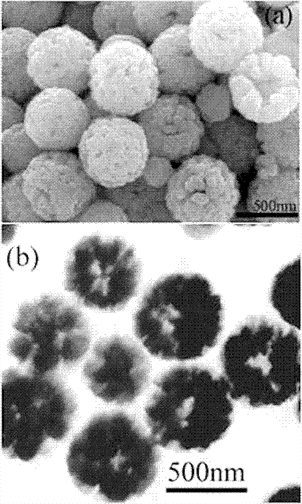 Electromagnetic wave absorbing material of monodisperse nanometer ferriferrous oxide hollow ball, its preparation method and application