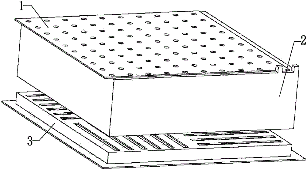 Complanation cultivation board and cultivation method for black fungus