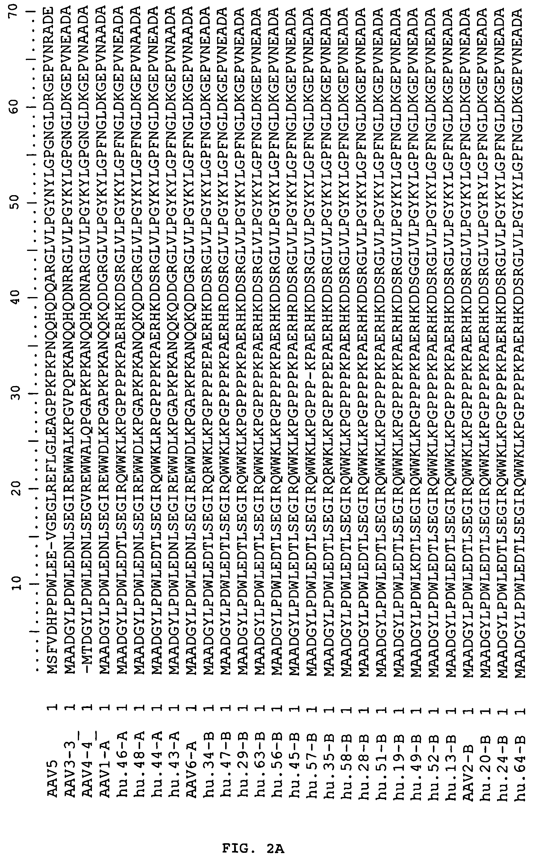 Adeno-associated virus (AAV) clades, sequences, vectors containing same, and uses therefor