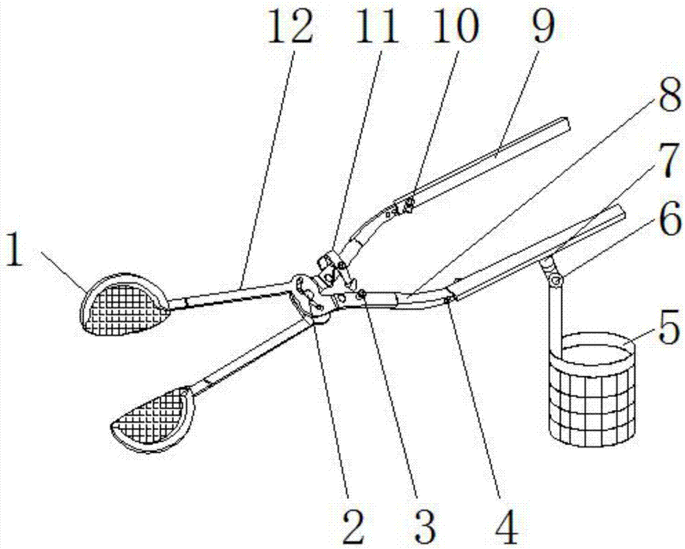 Poultry egg collecting device