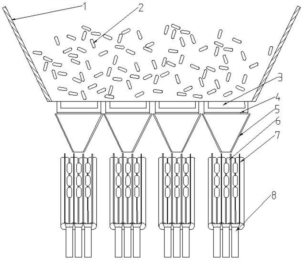 Double-layer blanking device for health care product capsules and use method of double-layer blanking device