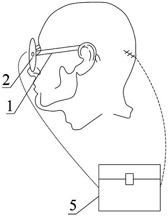 Image processing device and method of visual cortex prosthesis