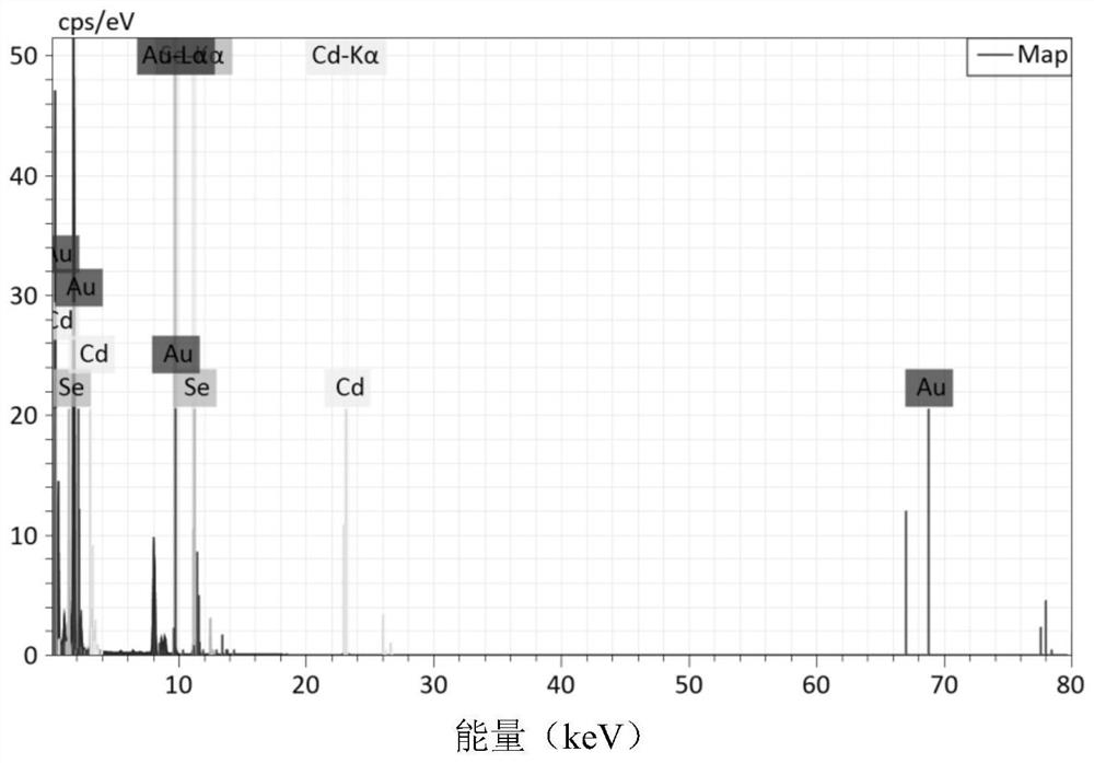 A quantum dot-gold nanoparticle heterogeneous superlattice and its preparation method and application