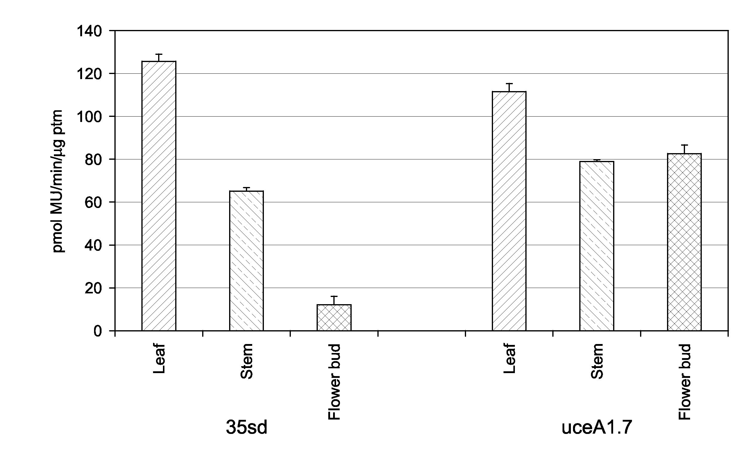 Compositions and methods for modifying gene expression using the promoter of ubiquitin conjugating protein coding gene of cotton plants