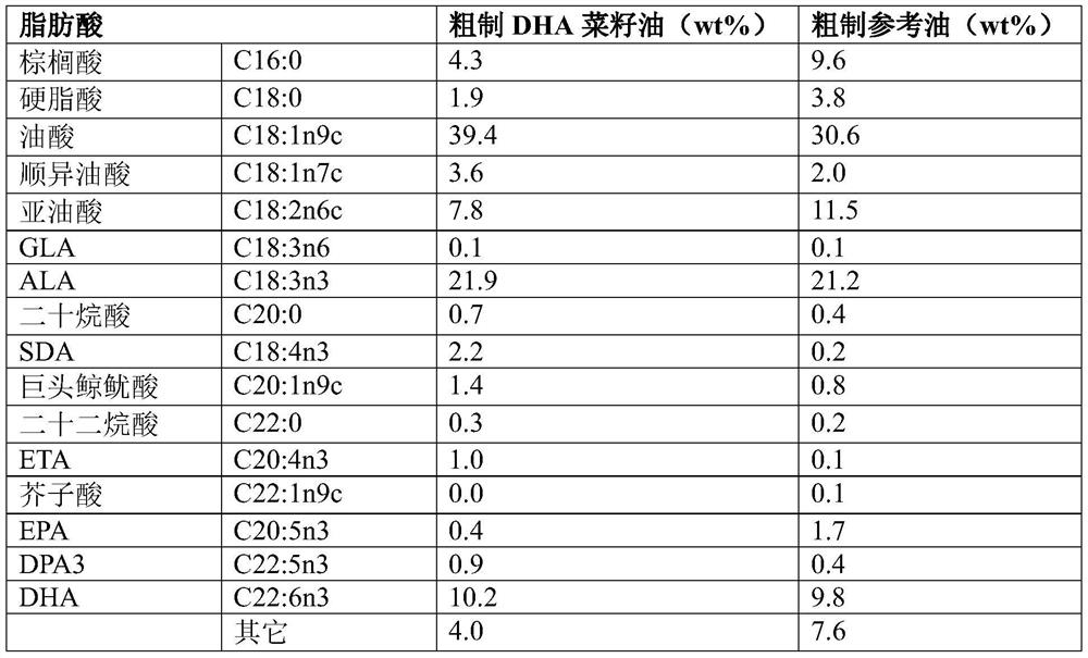 DHA enriched polyunsaturated fatty acid compositions