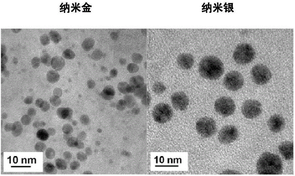 Antibacterial gel containing nano gold