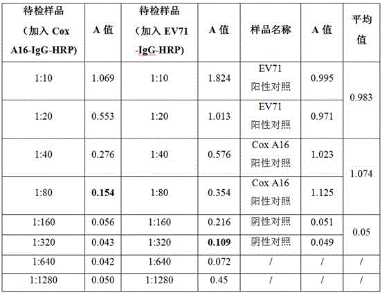 Identification detecting method for Cox A16 and EV71 viral antigens