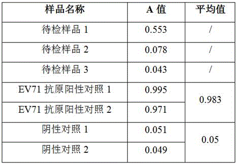 Identification detecting method for Cox A16 and EV71 viral antigens