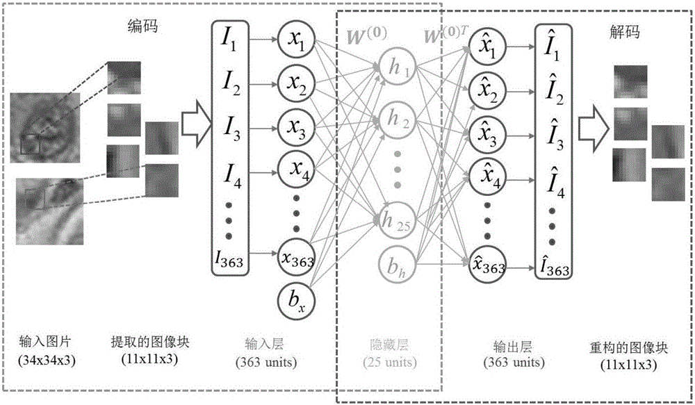 Automatic cell detection and segmentation method based on deep learning and using adaptive ellipse fitting