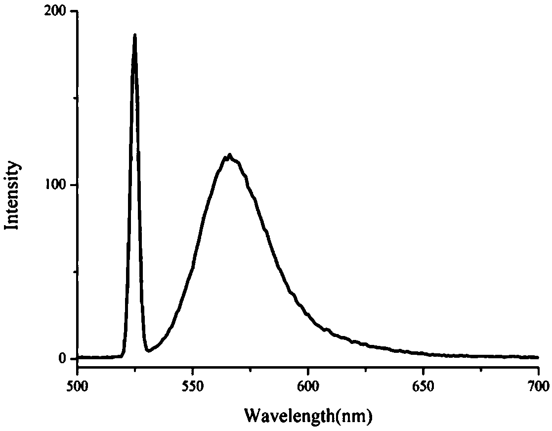 Double-emitting fluorescent nanoparticle preparation method