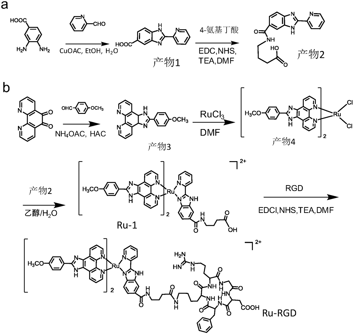 Preparation method of two-photon absorption type ruthenium complex and application of ruthenium complex as tumor probe
