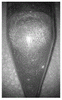 Multi-ion doped large-size LaBr monocrystal scintillator and preparation method thereof