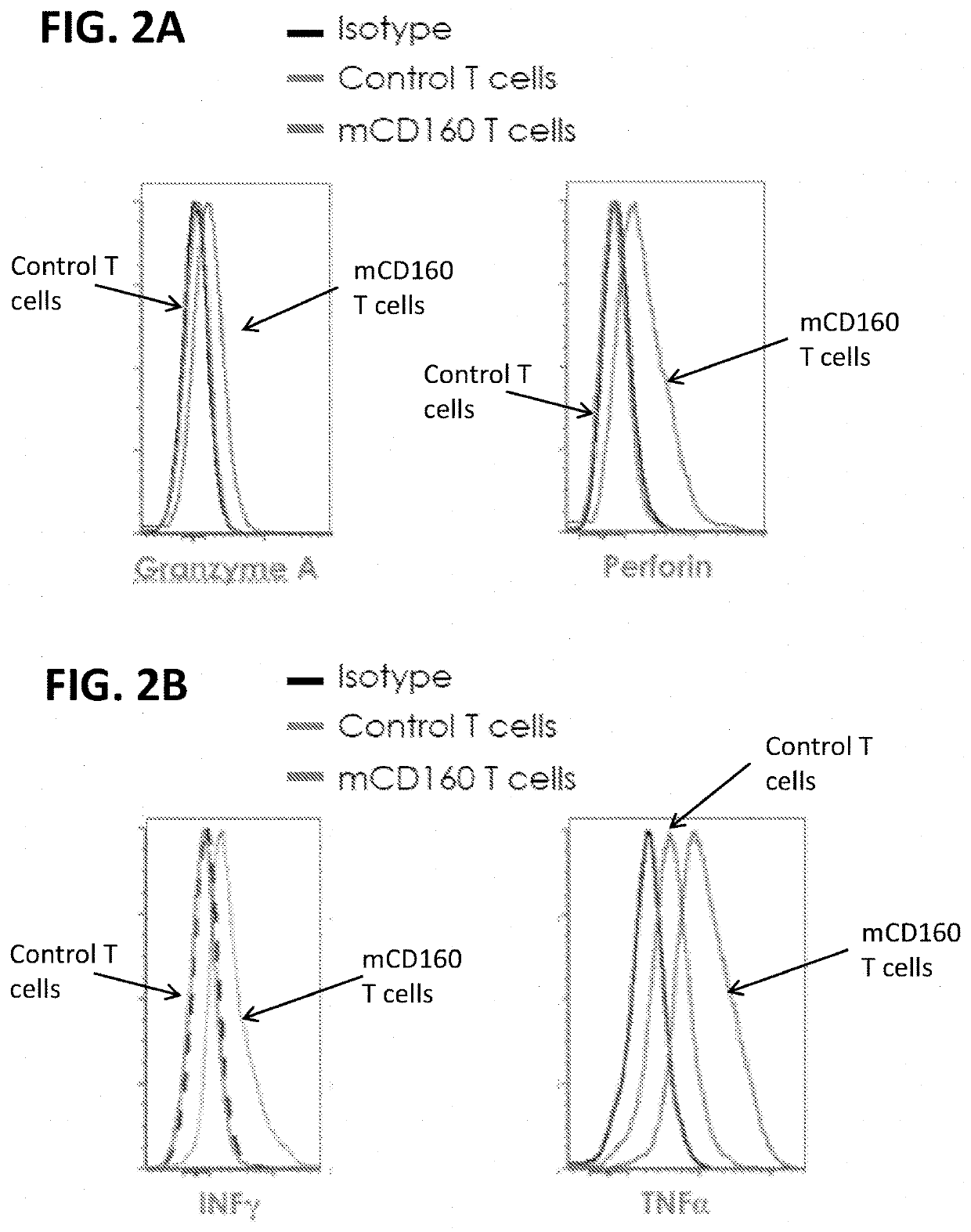 Methods of modulating cd160 function in the antigen-specific immune cell and uses thereof