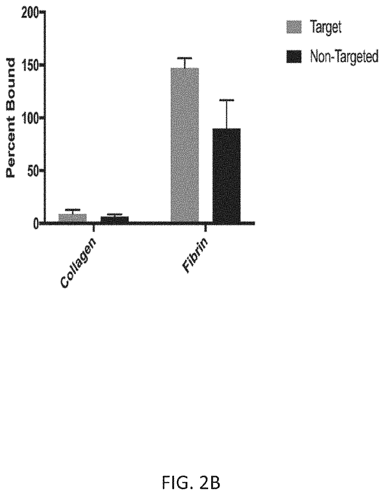 Fibrin-targeted polymerized shell lipid microbubbles for diagnostic and therapeutic applications