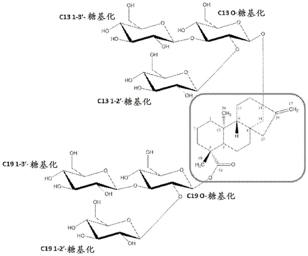 Production of steviol glycosides through whole cell biotransformation