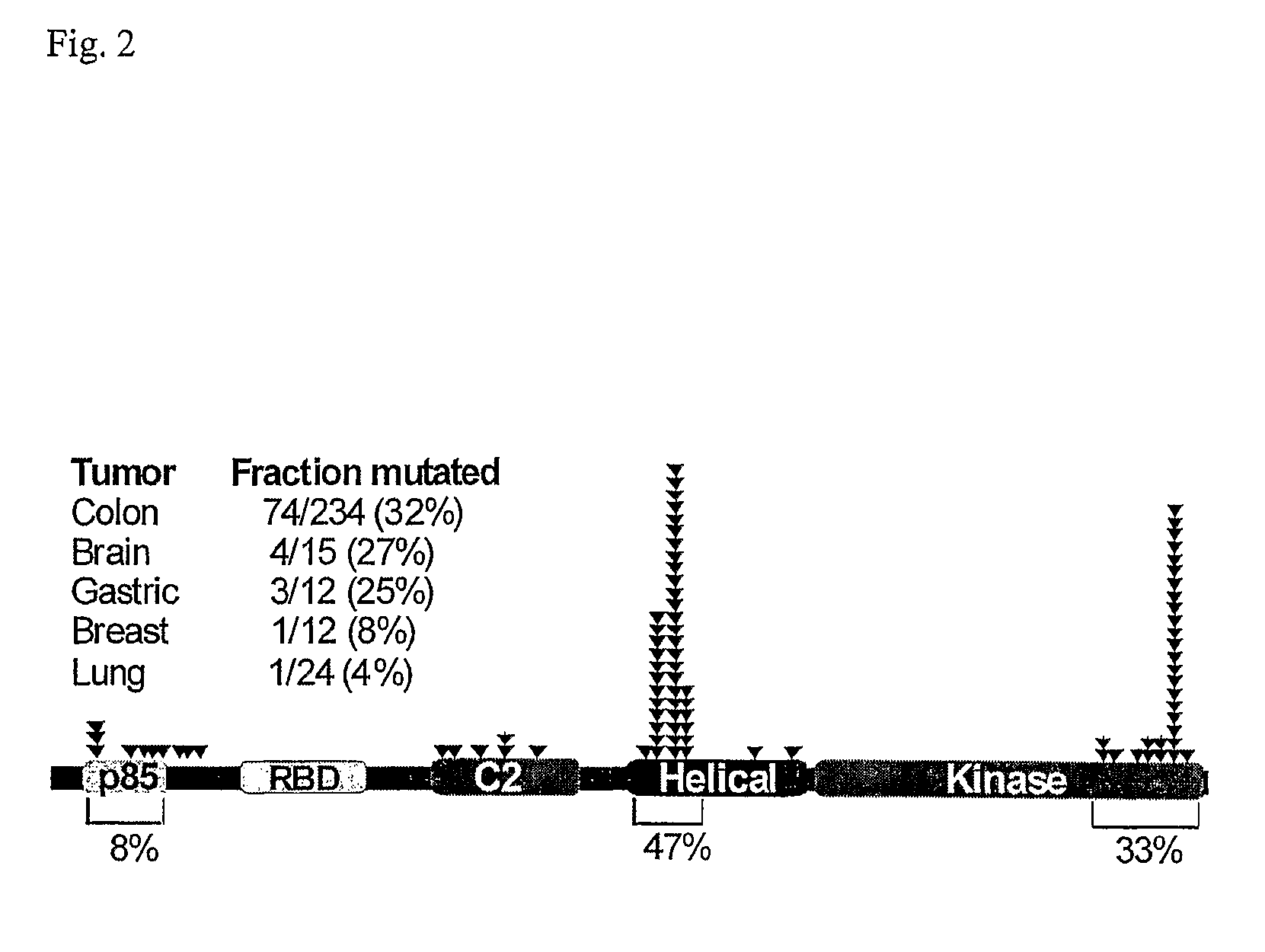 Mutations of the PIK3CA gene in human cancers