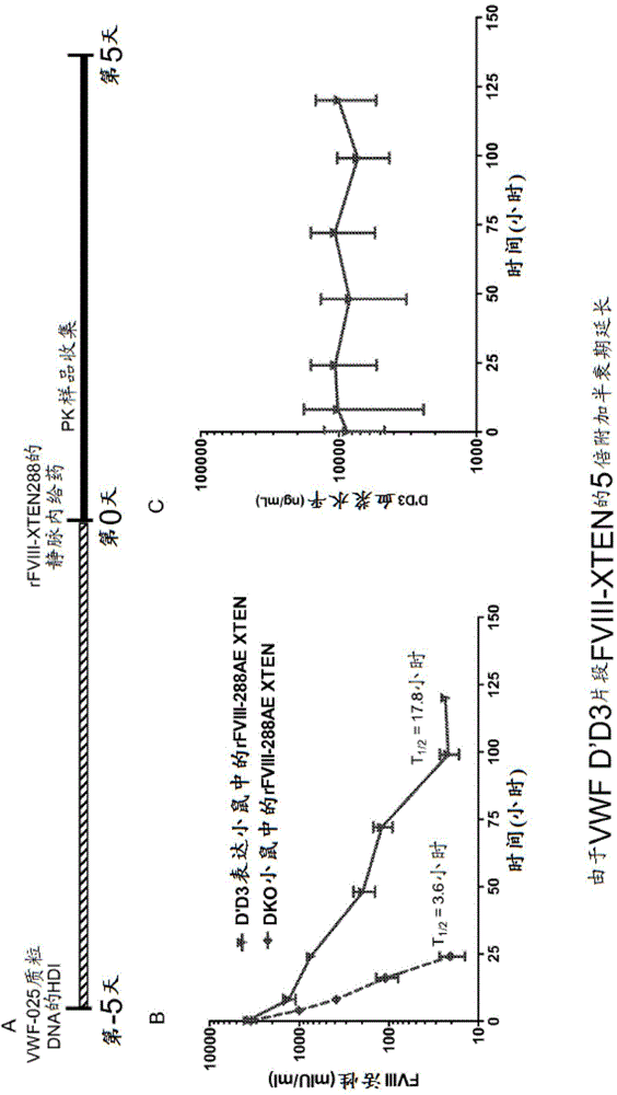Factor VIII complex with XTEN and von willebrand factor protein, and uses thereof