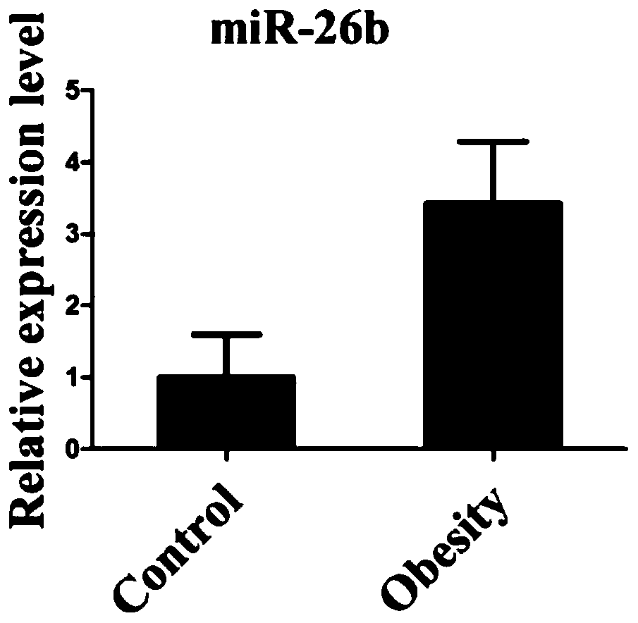 A serum or plasma miRNA marker associated with childhood obesity and its application