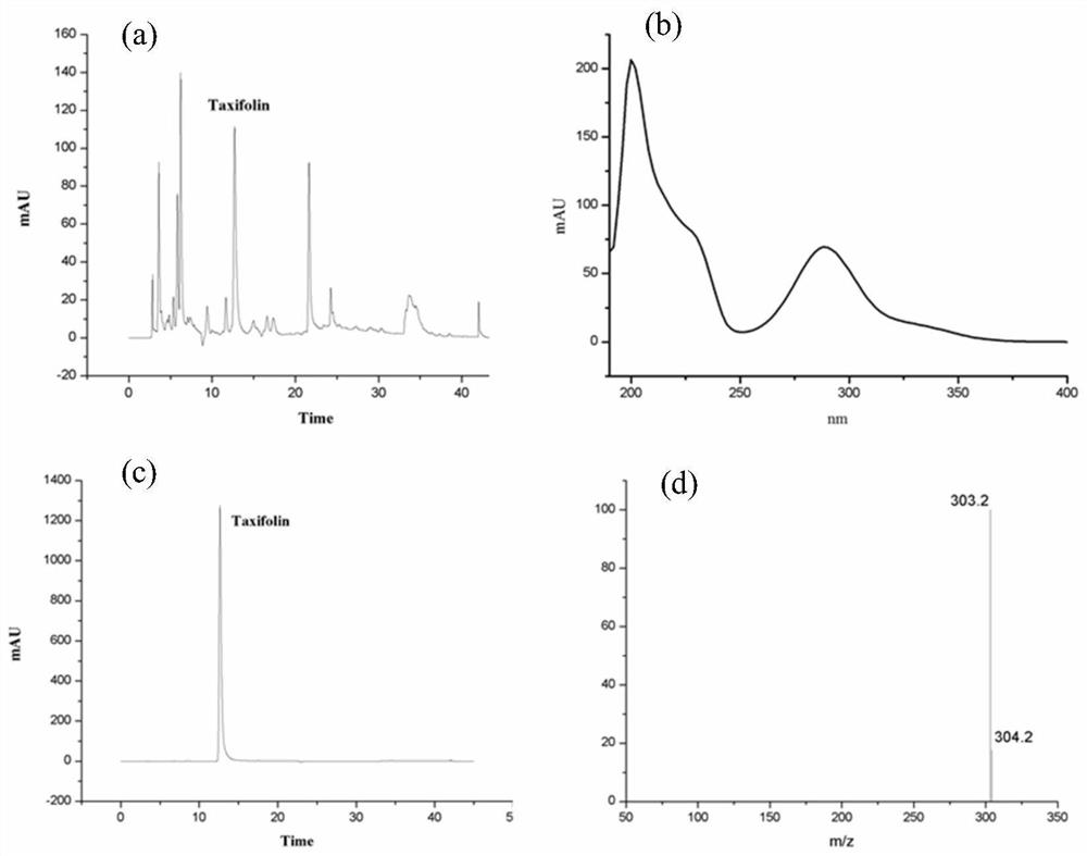 Saccharomyces cerevisiae engineering bacterium with high yield of taxifolin as well as construction and application of saccharomyces cerevisiae engineering bacterium
