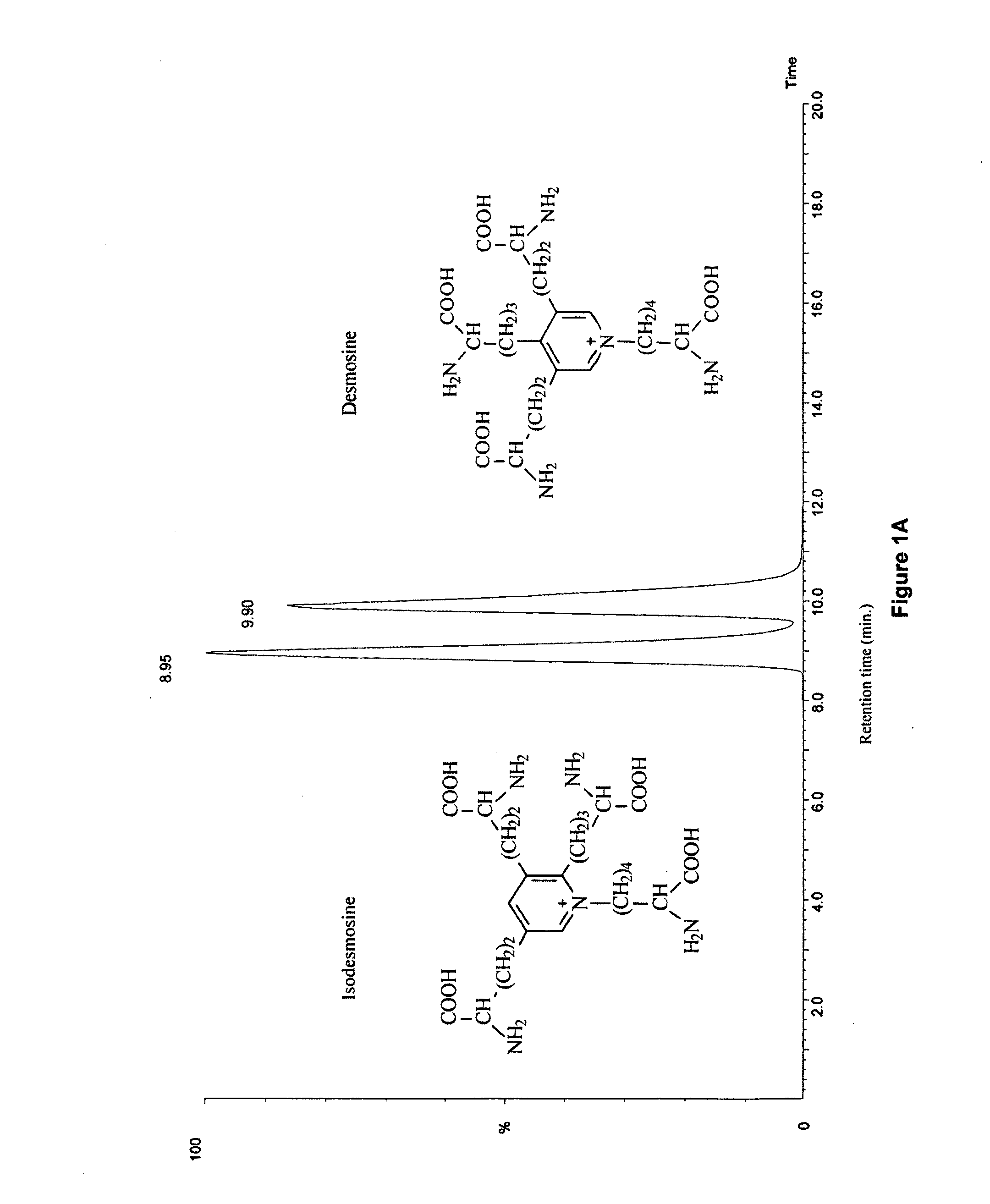 Methods of validating candidate compounds for use in treating COPD and other diseases