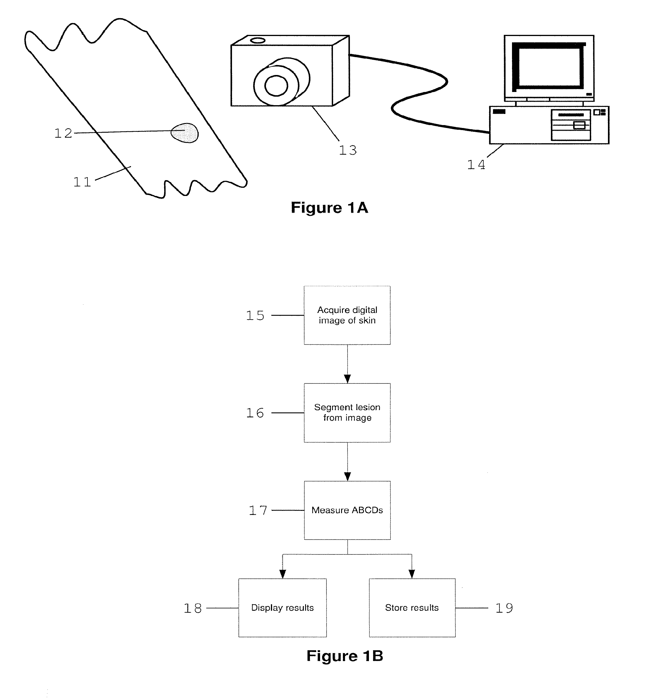 Method for displaying measurements and temporal changes of skin surface images
