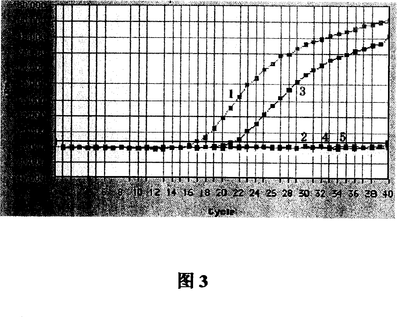 Detection primer, probe and detection method for tilletia indica mitra