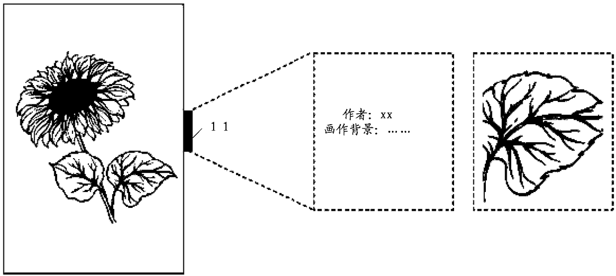 Display device, information processing method, computer storage medium and terminal