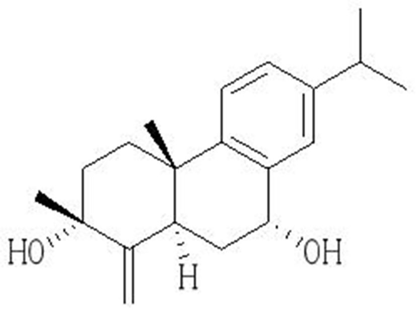 Abietane diterpene as well as preparation method and application thereof