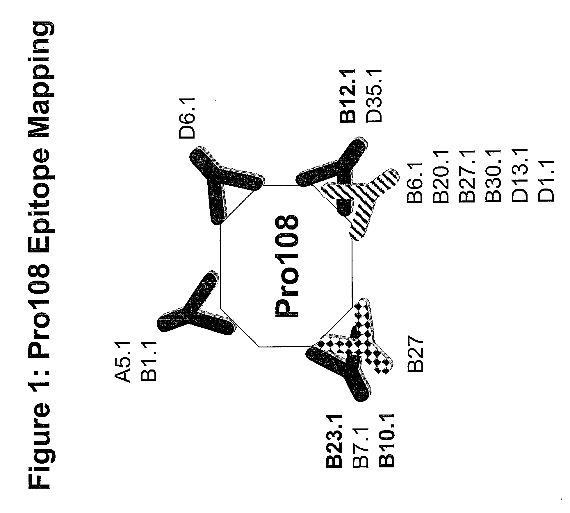 PRO108 Antibody Compositions and Methods of Use and Use of PRO108 to Assess Cancer Risk