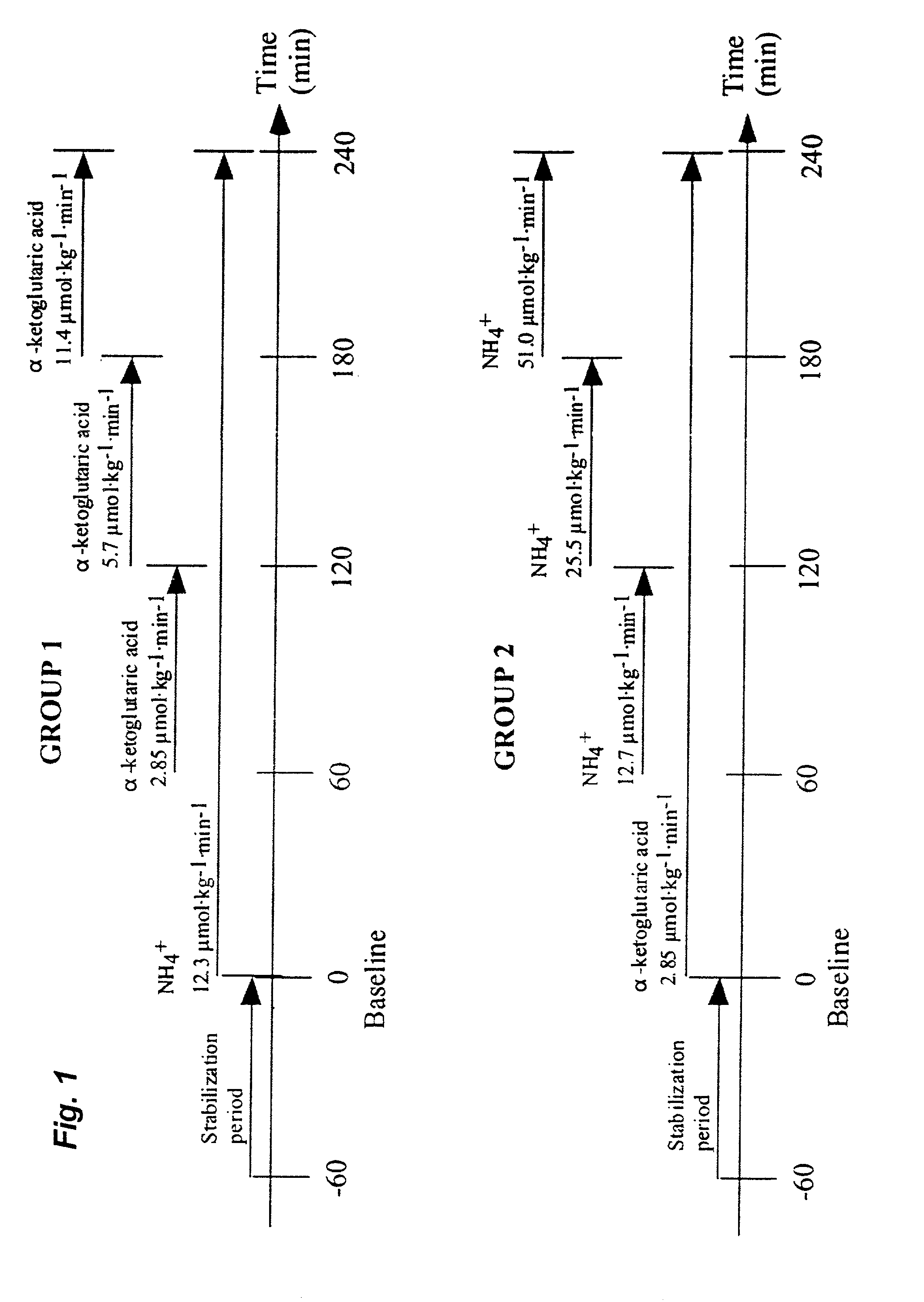 Preservation of bodily protein