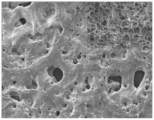 Preparation and application of polyaniline nanowire/three-dimensional porous graphene electrode material