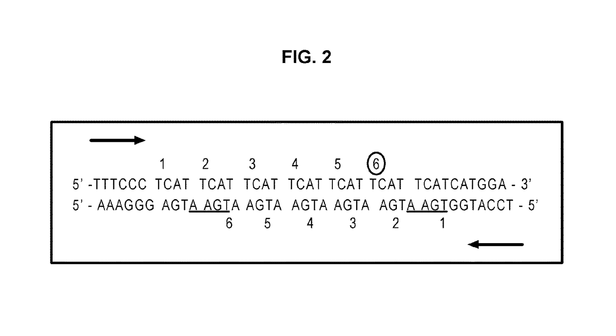 Method of authenticating a user holding a biometric certificate