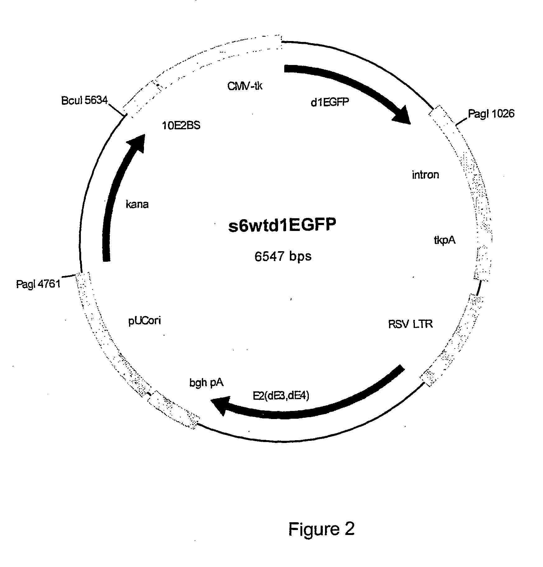 Selection system containing non-antibiotic resistance selection marker