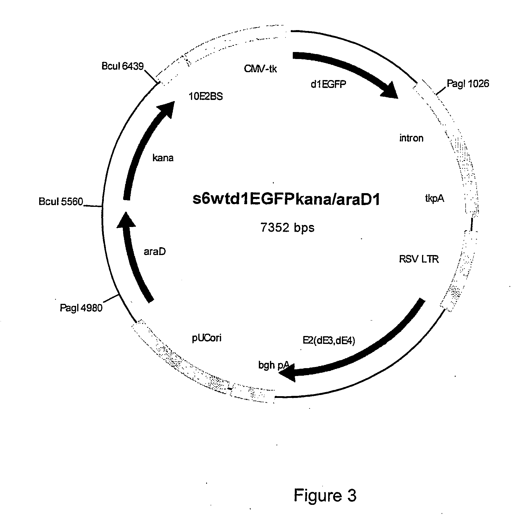 Selection system containing non-antibiotic resistance selection marker