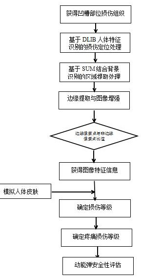 Pain grading judgment method applied to police experiment of non-lethal kinetic energy bombs and variable initial speed control application method