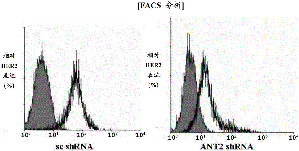 Method for treating breast cancer by reducing expression of adenine nucleotide transporter 2 mRNA