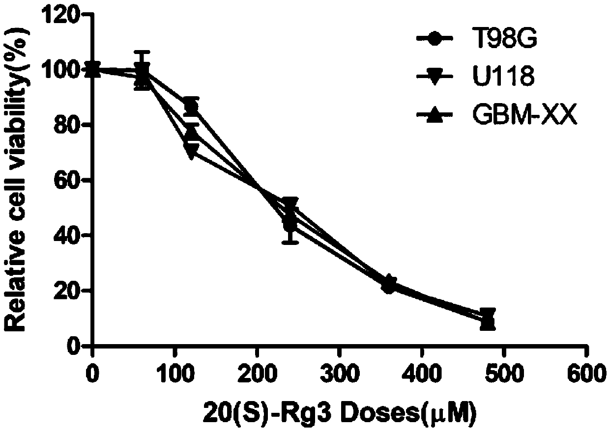 Application of 20(S)-ginsenoside-Rg3 in reversing drug resistance of glioma cells to chemotherapeutic drugs