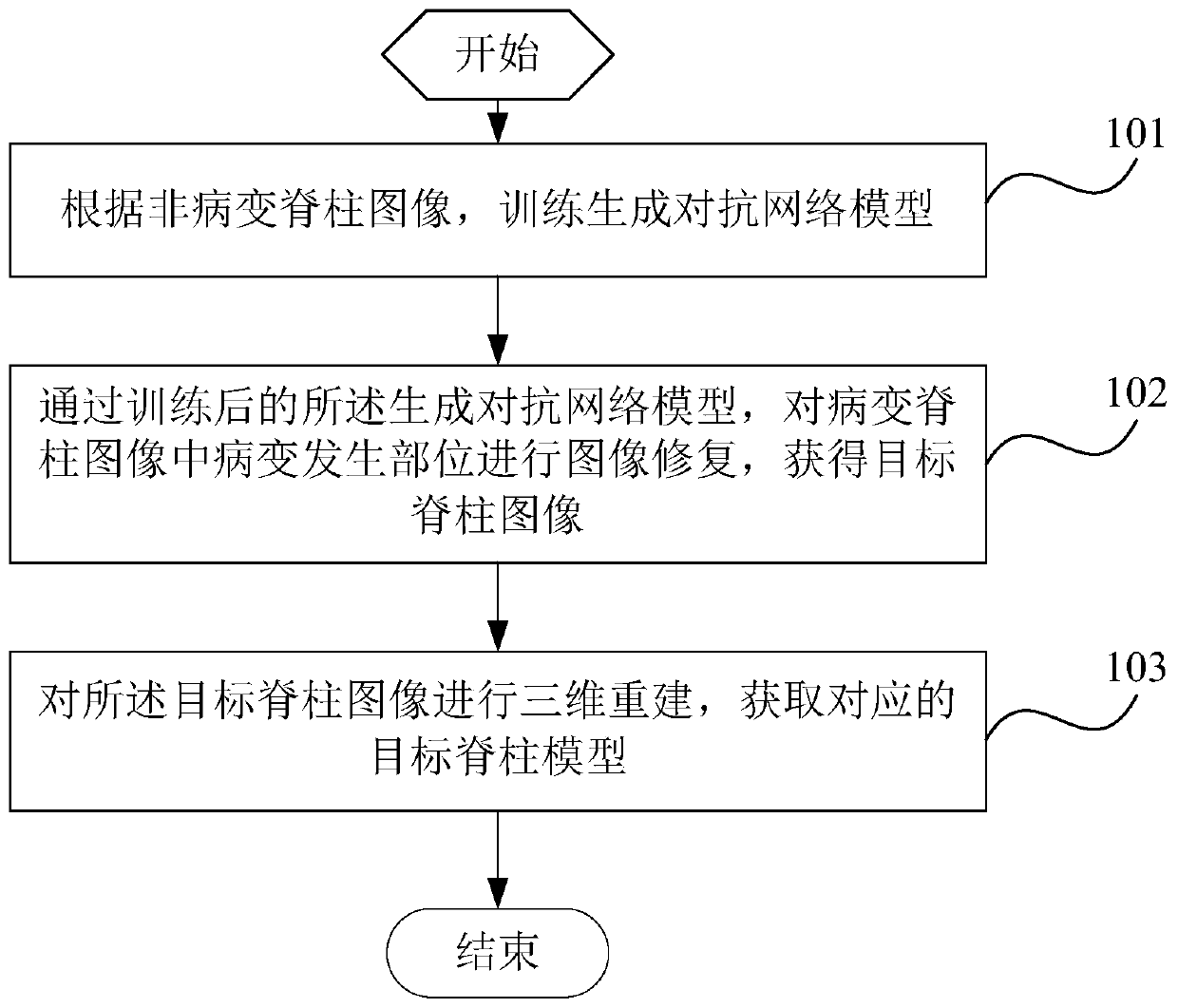 Spine model generation method, spine model generation system and terminal