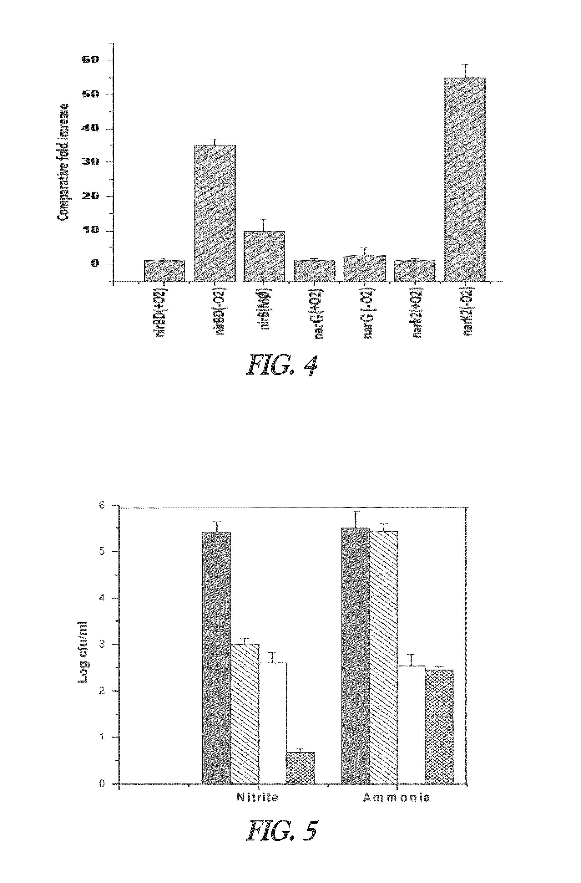 Nitrite-reductase (NIRB) as potential anti-tubercular target and a method to detect the severity of tuberculosis disease