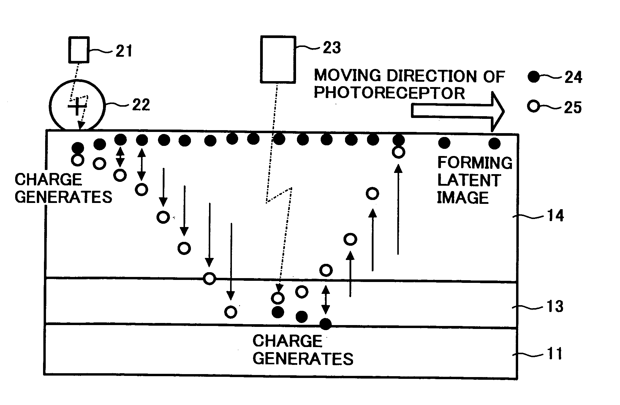 Electrophotographic photoreceptor, and electrophotographic apparatus, process cartridge and method using the photoreceptor