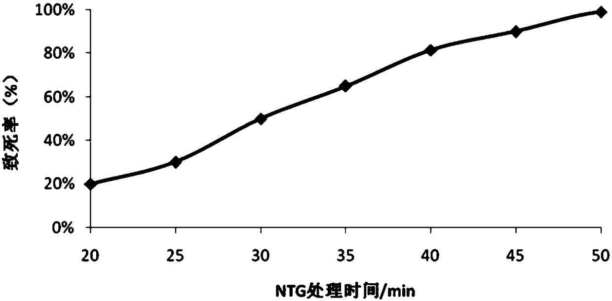 Lactobacillus casei stain mutant strain for producing glutamine transaminase and use thereof