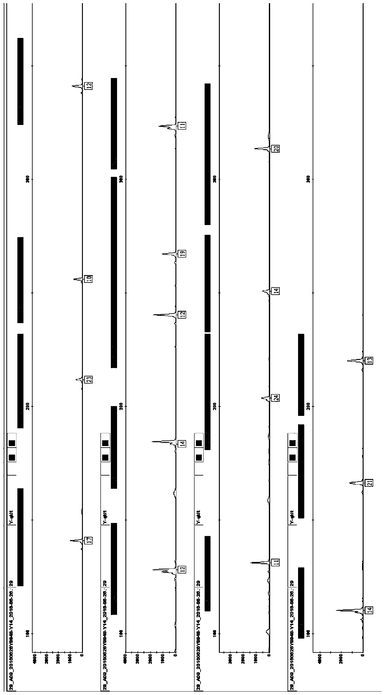 A method and system for rapid y-str typing of male individuals