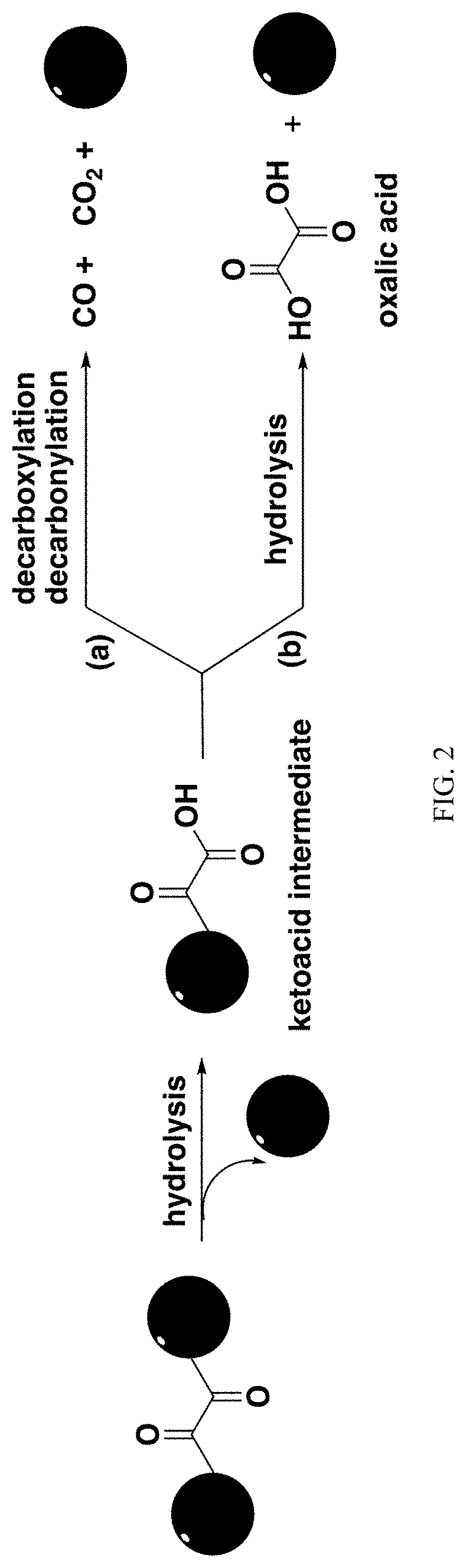 Carbon monoxide prodrugs for the treatment of medical disorders