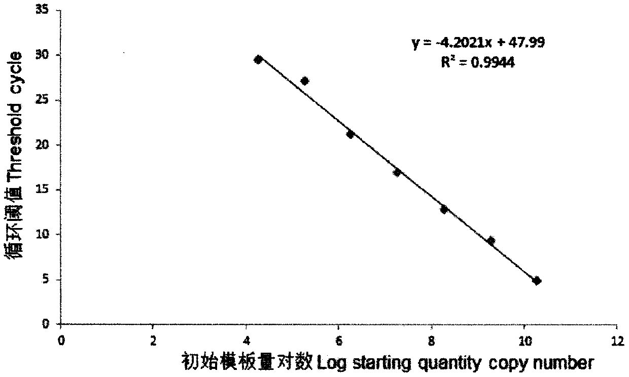 Real-time fluorescent quantitative PCR method for detecting canine mycoplasmas