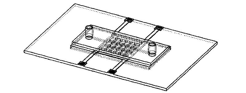 Cell electrofusion chip device based on micro-chamber array structure