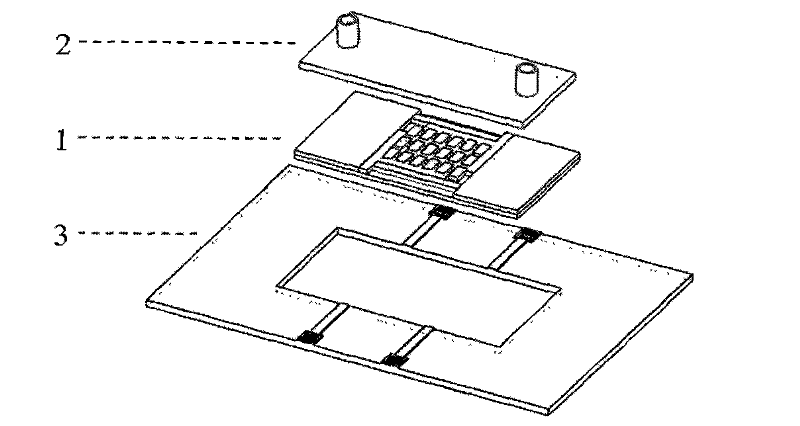 Cell electrofusion chip device based on micro-chamber array structure