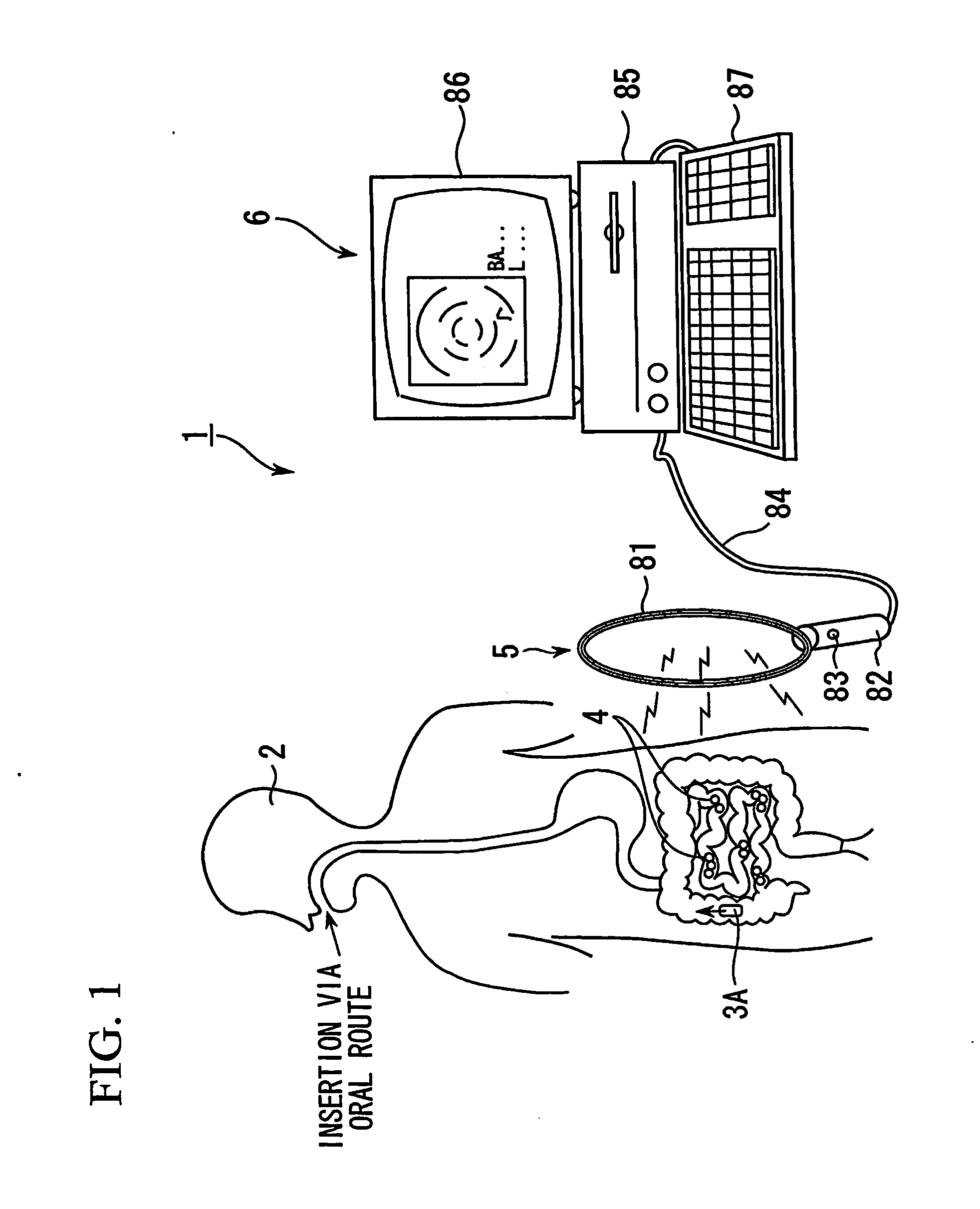 In-vivo information acquisition apparatus and in-vivo information acquisition apparatus system