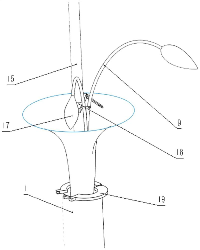 A device for removing foreign body from digestive tract