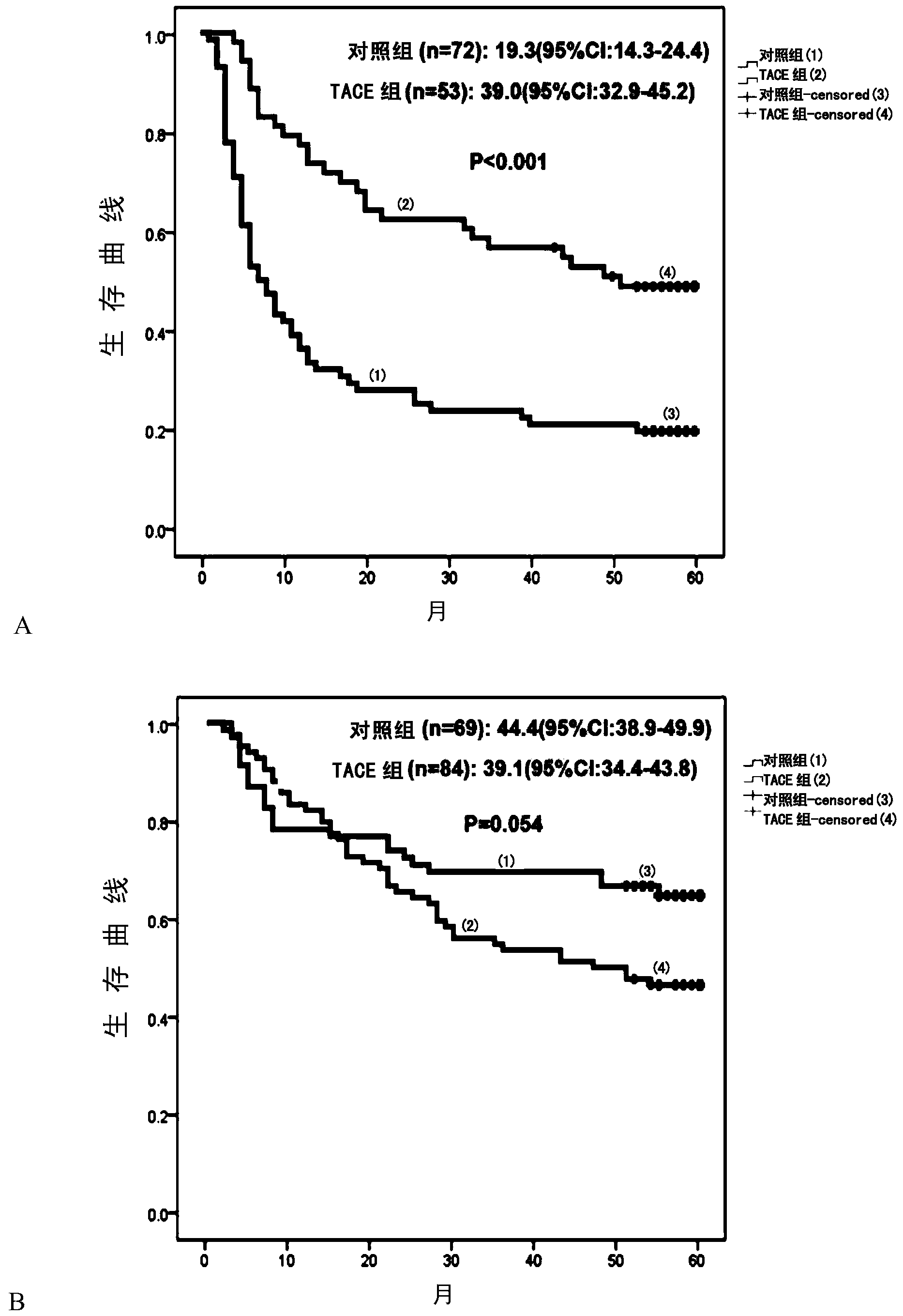 Application of RNA (Ribose Nucleic Acid) polymerase II fifth subunit regulatory protein in preparation of reagent for prognosis of hepatocellular carcinoma or auxiliary TACE (Transcatheter Arterial Chemoembolization)